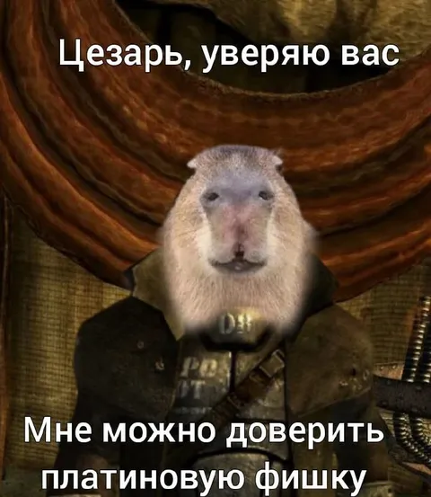 Капибара с платиновой фишкой