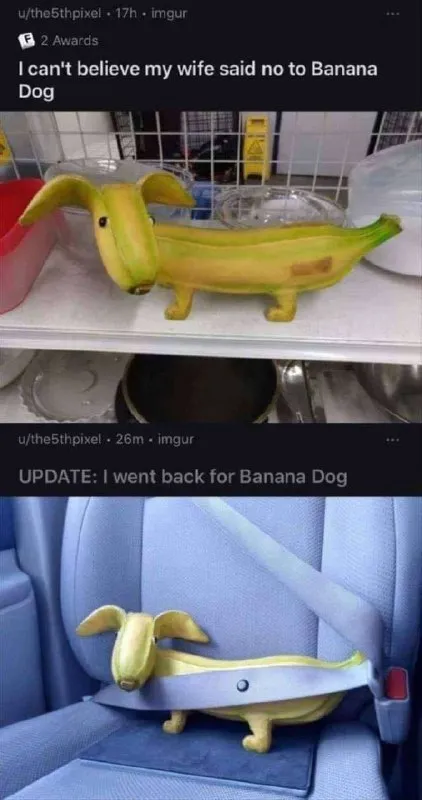 Banana Dog Gets Rescued