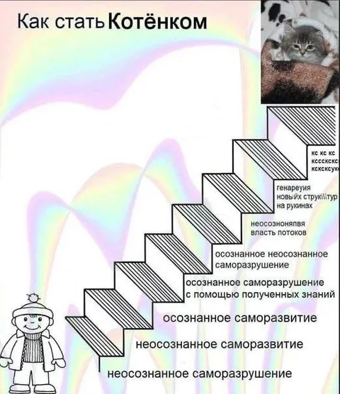 Как стать котёнком