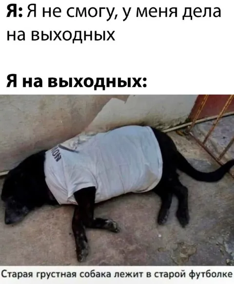 Дела на выходных