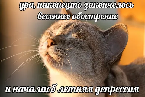 Весенняя депрессия закончилась