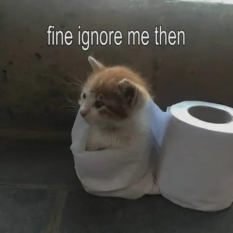 Fine Ignore Me Then Cat
