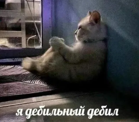 Я дебильный дебил
