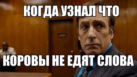 Когда узнал правду о коровах