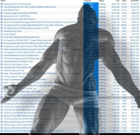 Torrent Collection Seeding Forever