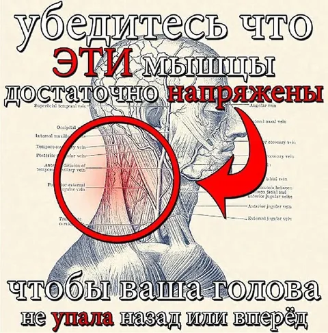 Убедитесь что мышцы напряжены