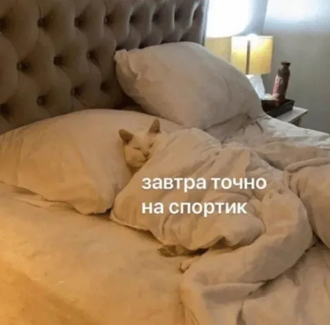 Завтра точно на спортик