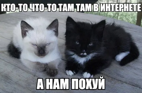 Кто-то что-то там в интернете