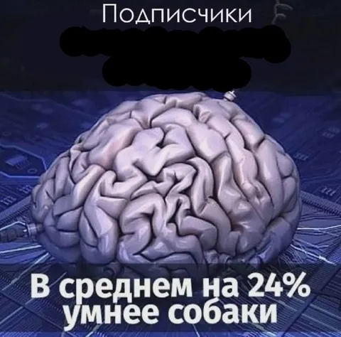 Подписчики умнее собаки