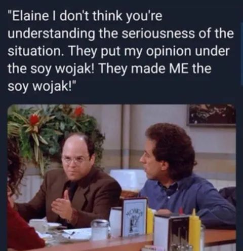 They Made Me the Soy Wojak