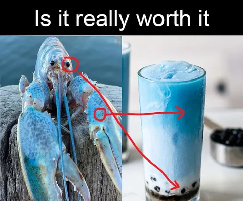 Is It Really Worth It