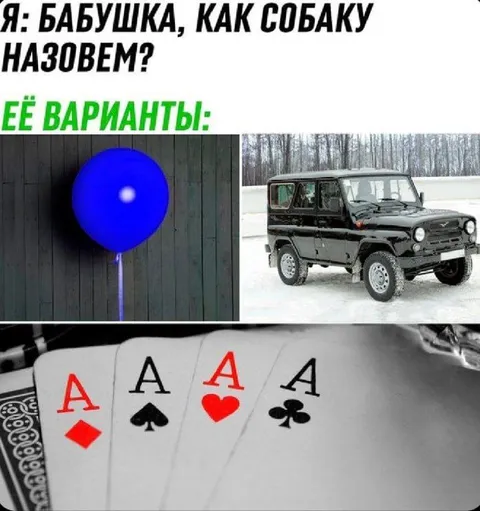 Как назовём собаку: варианты бабушки