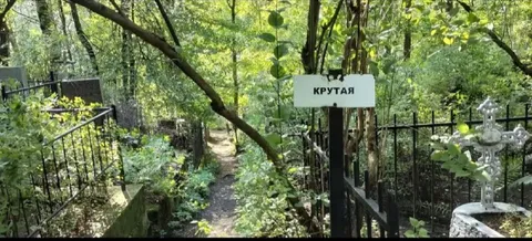 Крутая могила в лесу