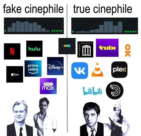 Fake Cinephile vs True Cinephile
