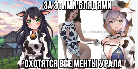 Менты Урала охотятся за коровками