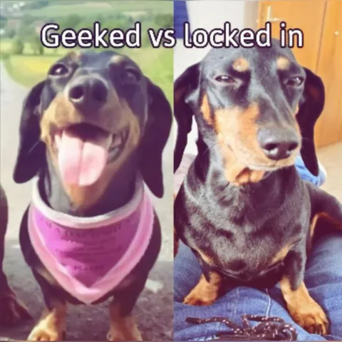 Geeked vs Locked In