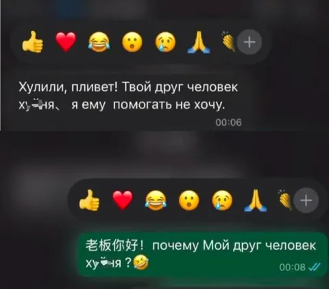 Китаец учит русский язык