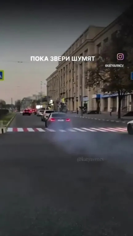 Пока звери шумят, охотники наблюдают