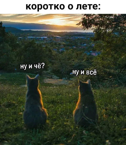 Коротко о лете: ну и всё