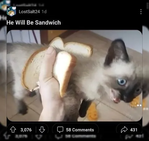 He Will Be Sandwich