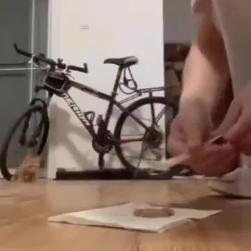 Котик не доверяет угощению