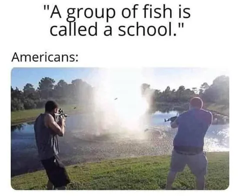 Americans School of Fish
