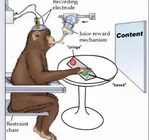 Monkey Chooses Cringe Over Based