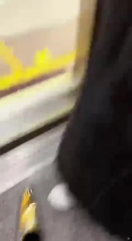 Золотые туфли в метро