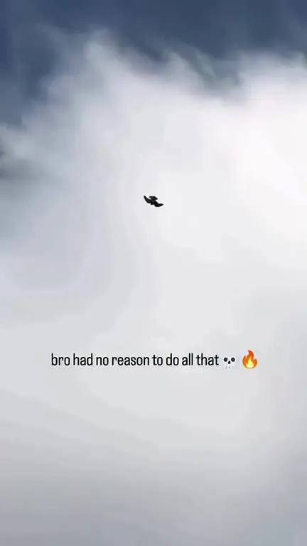 Bird Had No Reason To Do All That