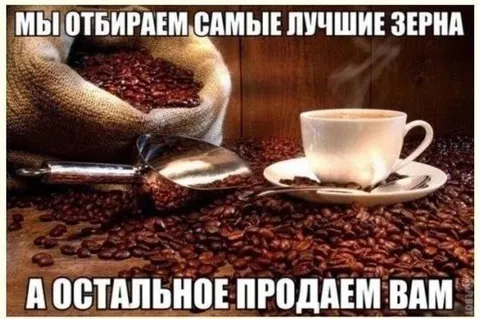 Мы отбираем лучшие зерна