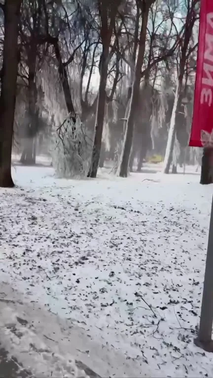 Зима в московском парке