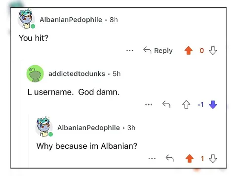 The Albanian Username Roast