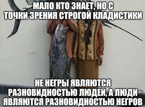 Строгая кладистика и негры