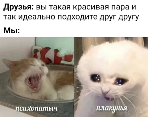 Идеальная пара психопата и плаксы