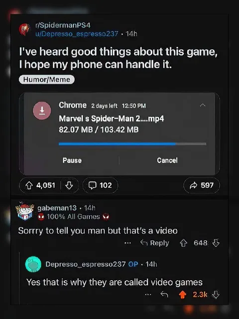 They Called It a Video Game
