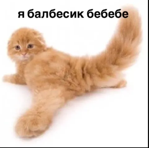 Я балбесик бебебе