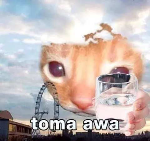 Toma Awa Big Cat