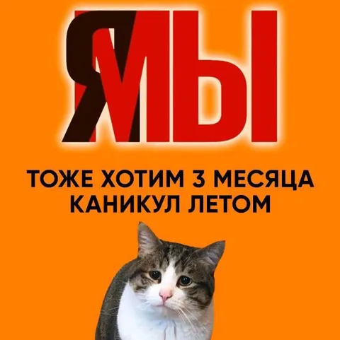 Каникулы летом на месяц