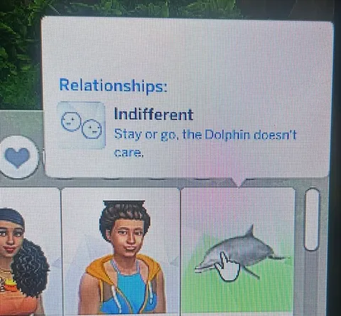 Indifferent Dolphin Relationship