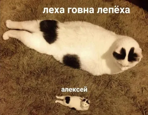 Лёха и Алексей на ковре