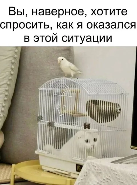 Как я оказался в этой ситуации