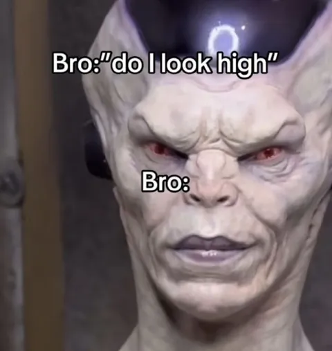 Bro Do I Look High