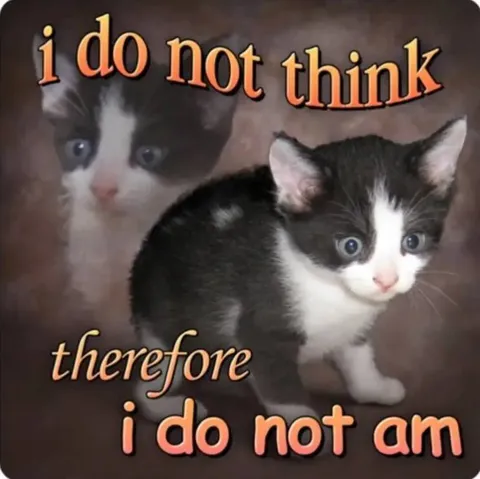I Do Not Think Therefore I Do Not Am