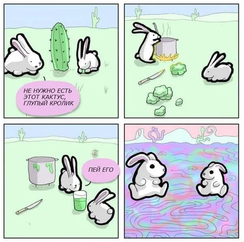 Глупый кролик и кактус