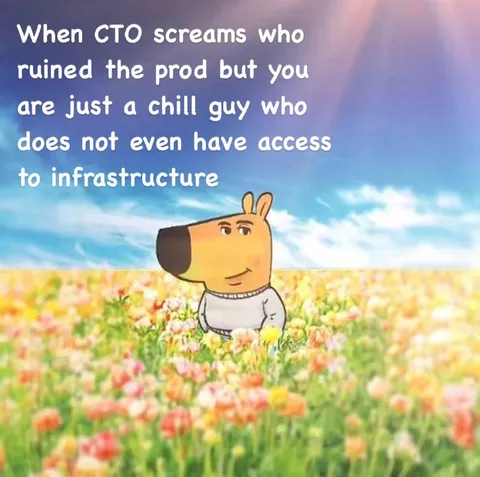 CTO Blames the Chill Guy