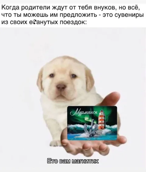 Сувенир вместо внуков