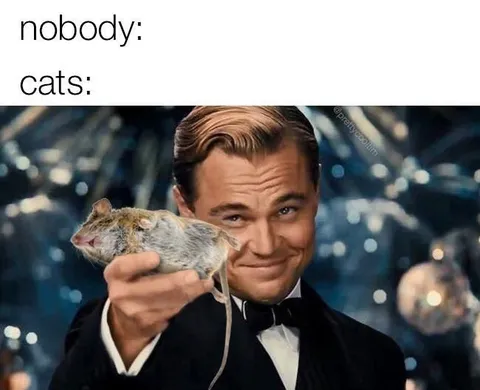 Nobody Cats Great Gatsby