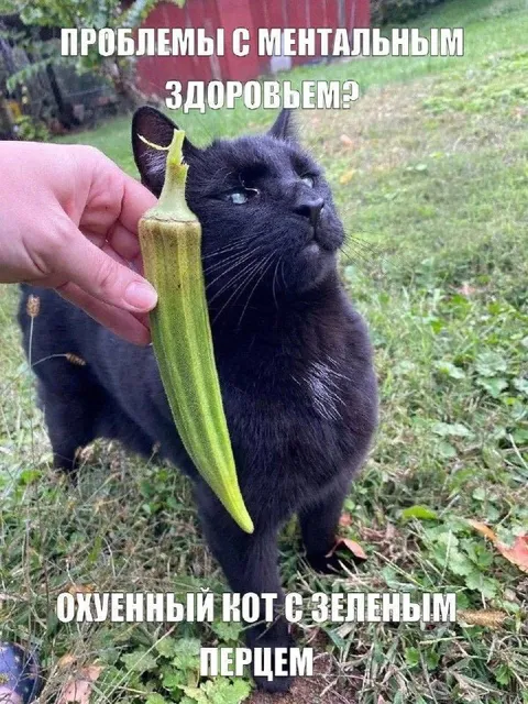 Охуенный кот с зелёным перцем