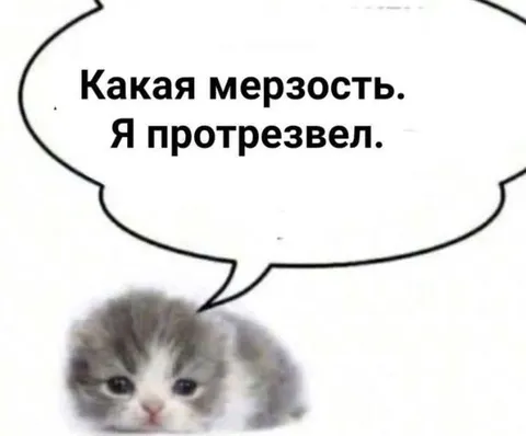 Какая мерзость, я протрезвел
