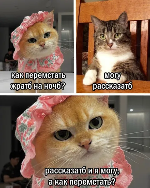 Как перестать жрать на ночь